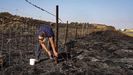 Qué pasa después de un incendio, ¿se puede construir en un terreno quemado? Esto es lo que dice la ley