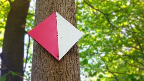 Rauten-Schilder an Gewässern: Was hinter den Farben steckt
