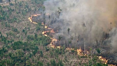 Deforestation: A $2.7 Trillion Corporate Supply Chain Risk