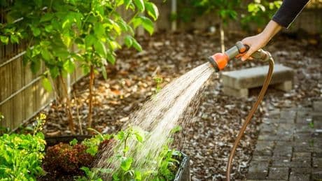 'I'm a gardening dad, here's four gift ideas for Father's Day 2025'