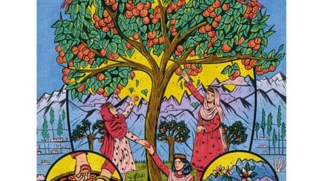 Il était une fois les abricots du Karakoram