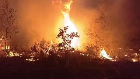 En Russie, la région de Transbaïkalie première victime de la saison des feux de forêt