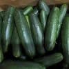 New salmonella outbreak tied to same Florida grower with tainted cucumbers last year