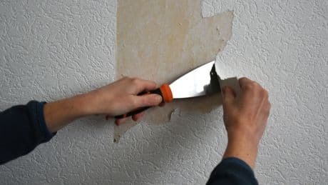 Machen viele falsch: So entsorgen Sie Tapete richtig