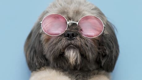 Internationale Studie: Was macht Menschen cool?