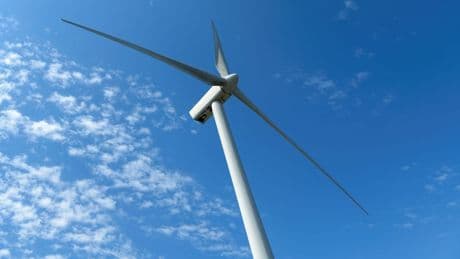 Industrie reageert op kabinetsbesluit over windenergie op de Noordzee: 'een slecht signaal'