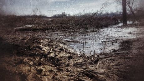Pollution : un sixième des sols agricoles sont contaminés par des métaux toxiques, révèle une étude de « Science »