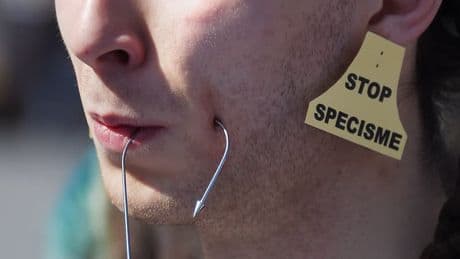 Strasbourg: des militants sensibilisent à l'abattage animal pour Pâques