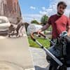 95-jarige die kinderwagen aanreed op zebrapad in Wervik rijongeschikt verklaard: “Hij schaamt zich om wat gebeurd is”