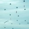 China is showing off its weaponry in a tightly controlled military parade