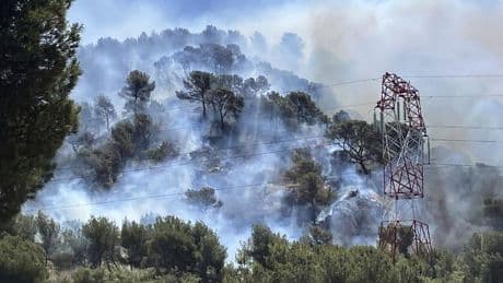 Marseille airport runway closed, flights suspended amid wildfires in France