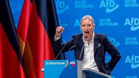 La Inteligencia alemana clasifica a AfD como «extremista» y considera que es una amenaza para la democracia