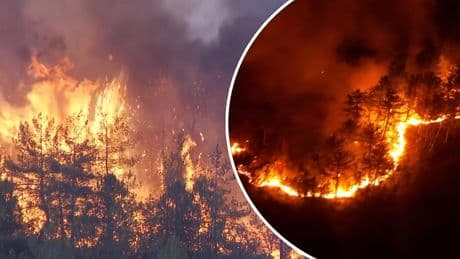 Enorme vuurzee bij bosbrand in Turkije