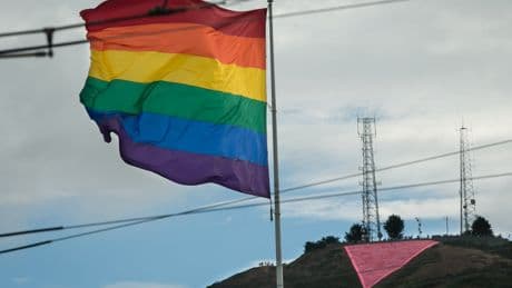 Teenager arrested for vandalizing San Francisco’s massive Pink Triangle, symbol of LGBT rights
