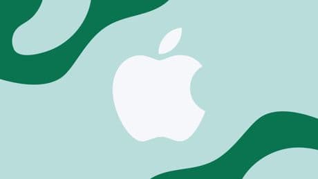 Apple&#8217;s mysterious chip tech will help Samsung make iPhone image sensors in Texas