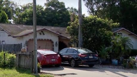 Five-month-old baby mauled to death by dogs after mum left for birthday dinner