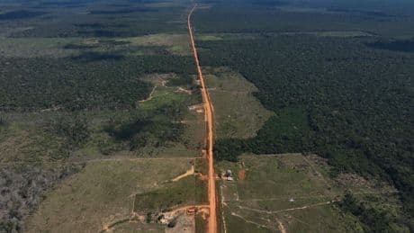 As UN climate talks loom, Brazil's Amazon forest loses in May an area larger than NYC