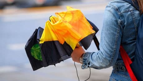 Wetter: Gewitter, Sonne, Regen – Wetter im Norden bleibt wechselhaft