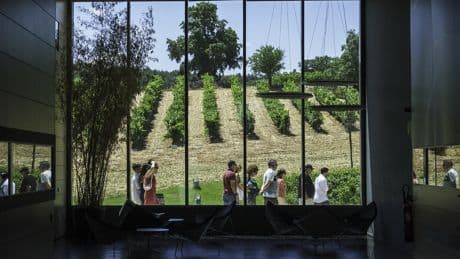 Los mejores planes de enoturismo de primavera