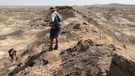 Evolution: Fossilien weisen auf unbekannten Vorfahren des Menschen hin