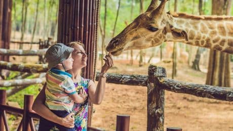 Planning to go to the zoo this summer? Read this first