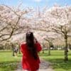 UK's spring was warmest on record, Met Office says