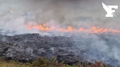 Écosse : les images des incendies qui ravagent les Highlands depuis plusieurs jours