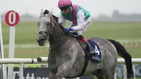Royal Ascot betting offer: 40/1 on Field Of Gold to win St James’s Palace Stakes