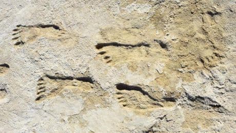Un estudio confirma que las huellas humanas más antiguas de América tienen más de 20.000 años, aunque no se sabe de qué cultura son