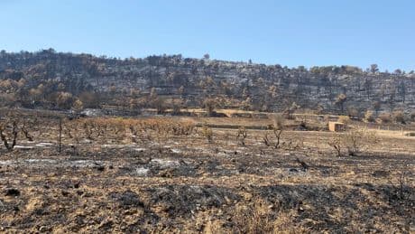 «Malgré nos alertes, nous n’avons pas été entendus par les pouvoirs publics» : le constat amer des vignerons après l’incendie dans l’Aude