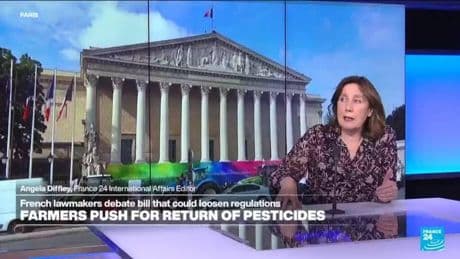 French farmers push for risky pesticide re-introduction