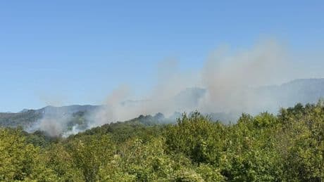 Bartın Amasra’da orman yangını kontrol altına alındı