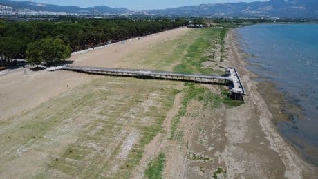 İçler acısı tablo: Bir zamanlar deniz otobüsünün yanaştığı iskele karada kaldı