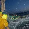 Le Cluster Maritime et les élus des littoraux appellent à « préserver la pêche française »