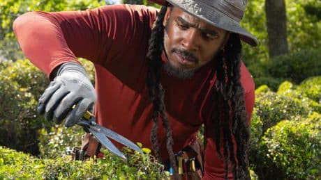 For Michael Gibson, Topiary Art Is Much More Than Just Clipping Branches