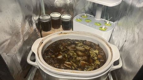 Want to try perpetual stew? Some tips for avoiding foodborne illness