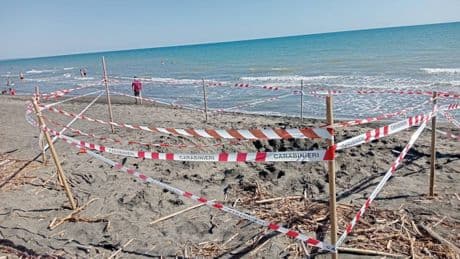 Riccardo e l'sos del fratellino. "Cercate lì, è sotto la sabbia"