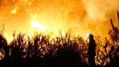 Los incendios tocan techo en España con 3.000 hectáreas quemadas en la última semana tras la peor quincena histórica