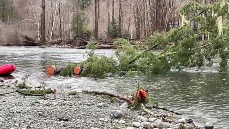 ‘A death trap’: Search and rescue crews warn Cowichan River has changed course