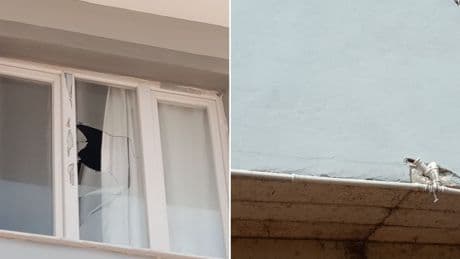 Taş ocağı mahkeme kararı tanımıyor: İzinsiz dinamit patlatıldı, evlerde hasar oluştu