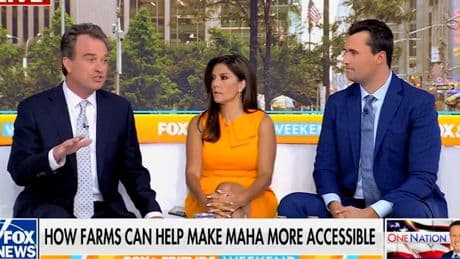 Fox News hosts suggests children can fill farm labor shortages caused by Trump deportations