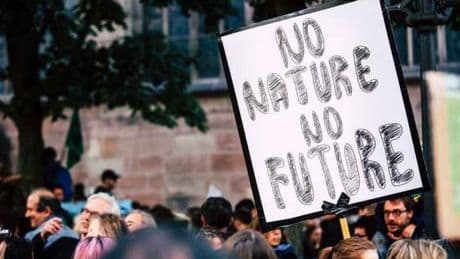 A69, Néonicotinoïdes, ZFE... Récit d'une semaine noire et de défaites en série pour l'écologie politique