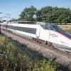 Des passagers d'un train accusent un contrôleur SNCF de les avoir verbalisés car leur chat miaulait