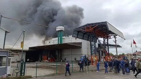 Sakarya'da fındık kırım fabrikasında yangın