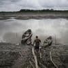 Well-preserved Amazon rainforest on Indigenous lands can protect people from diseases, study finds