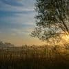 Wetter: Starke Gewitter drohen am Ostersonntag