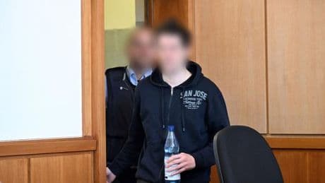 Sicherungsverfahren: Lkw-Chaosfahrt: Fahrer bleibt in psychiatrischer Klinik