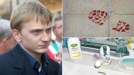 Garlasco, gli errori nelle indagini: pc di Stasi danneggiato, gatti dimenticati e traccia di sangue anomala. «Scena del crimine contaminata»