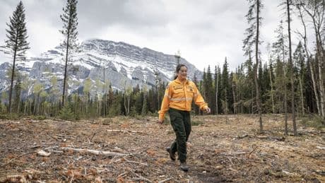 Anxious Banff gears up for first summer since Jasper wildfire