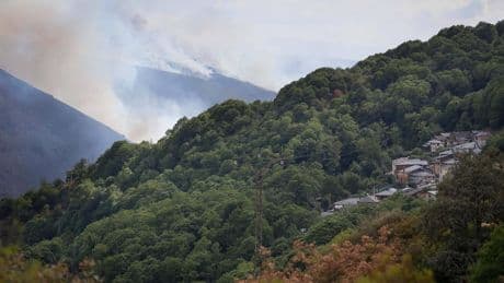 Waldbrände: Spaniens Wälder brennen – wo Touristen jetzt aufpassen müssen